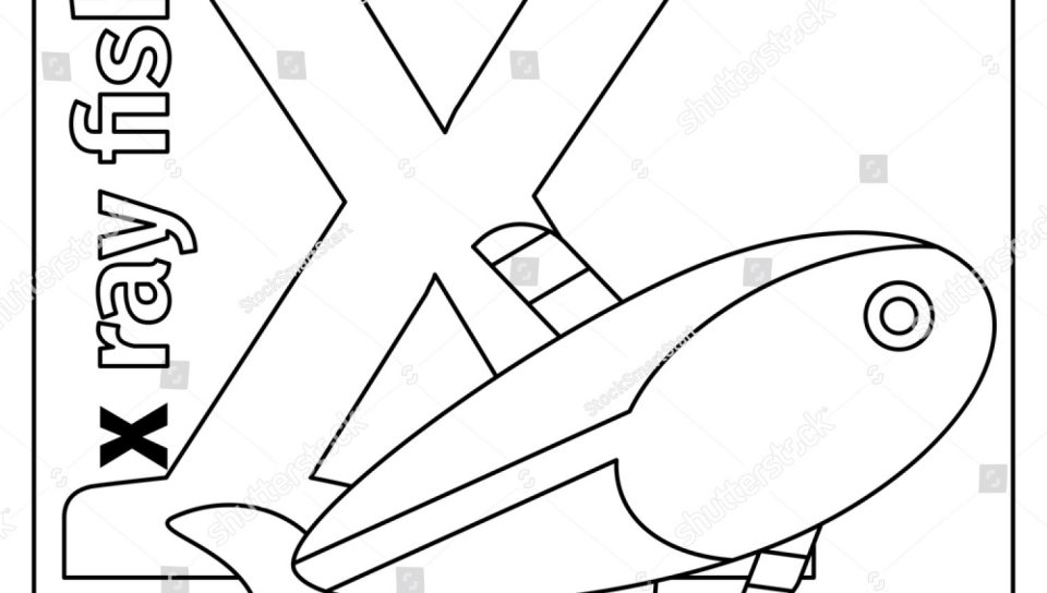 X Ray Coloring Page at GetColorings.com | Free printable colorings