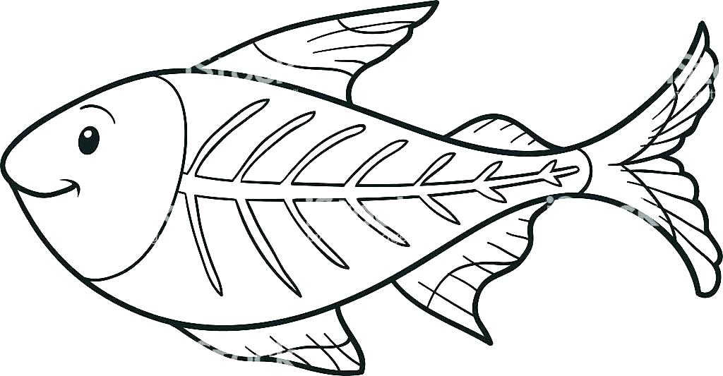 X Ray Coloring Page at GetColorings.com | Free printable colorings