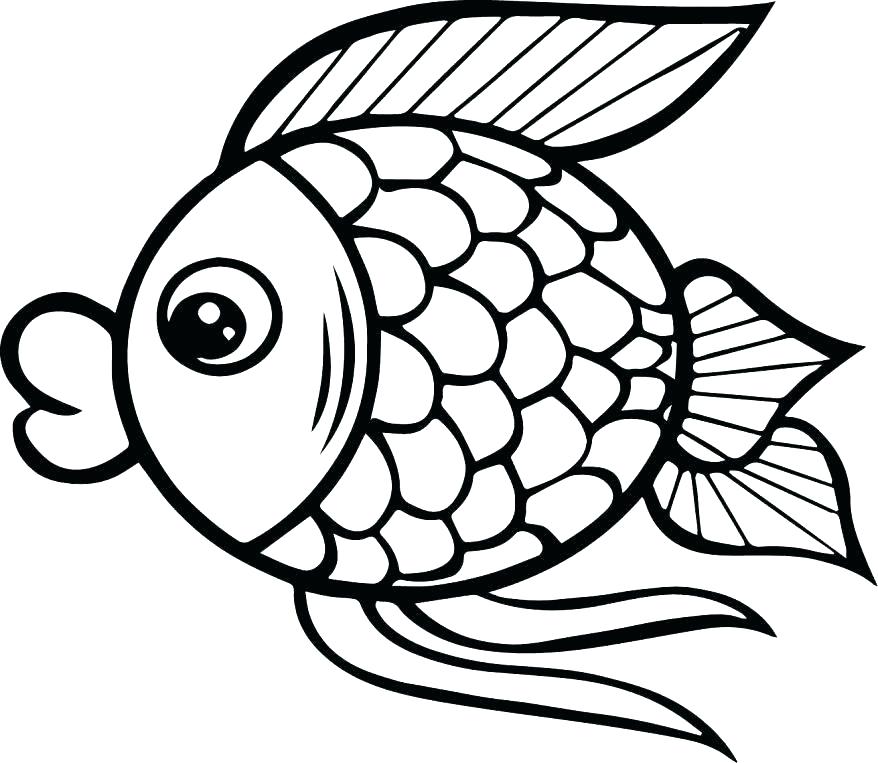 X Ray Fish Coloring Page at GetColorings.com | Free printable colorings