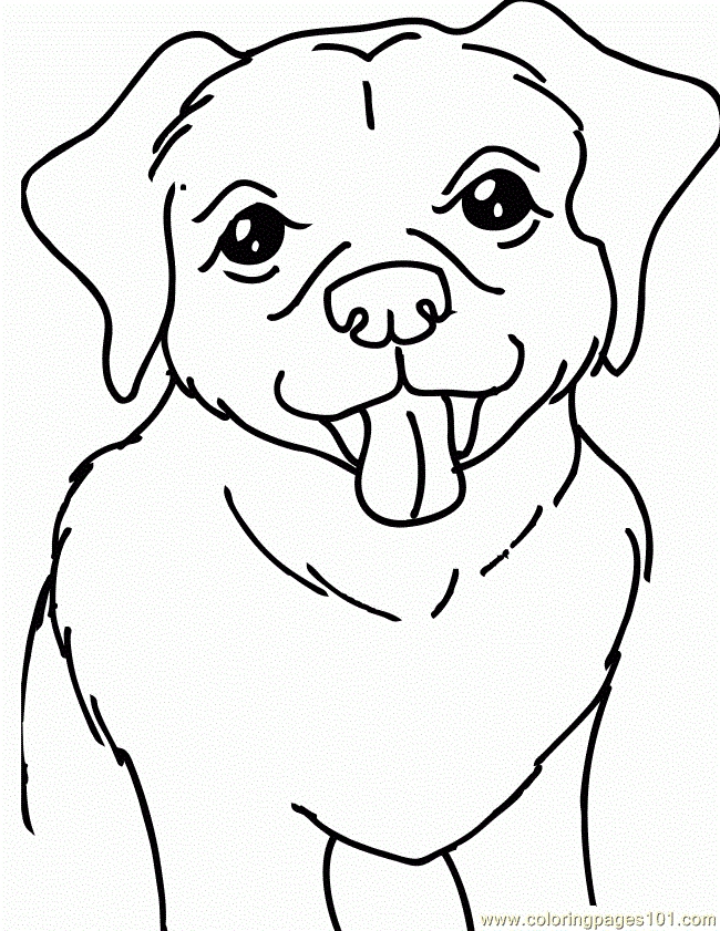 Yellow Lab Coloring Pages at GetColorings.com | Free printable