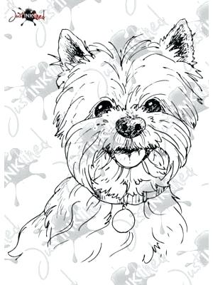 Yorkie Coloring Pages at GetColorings.com | Free printable ...