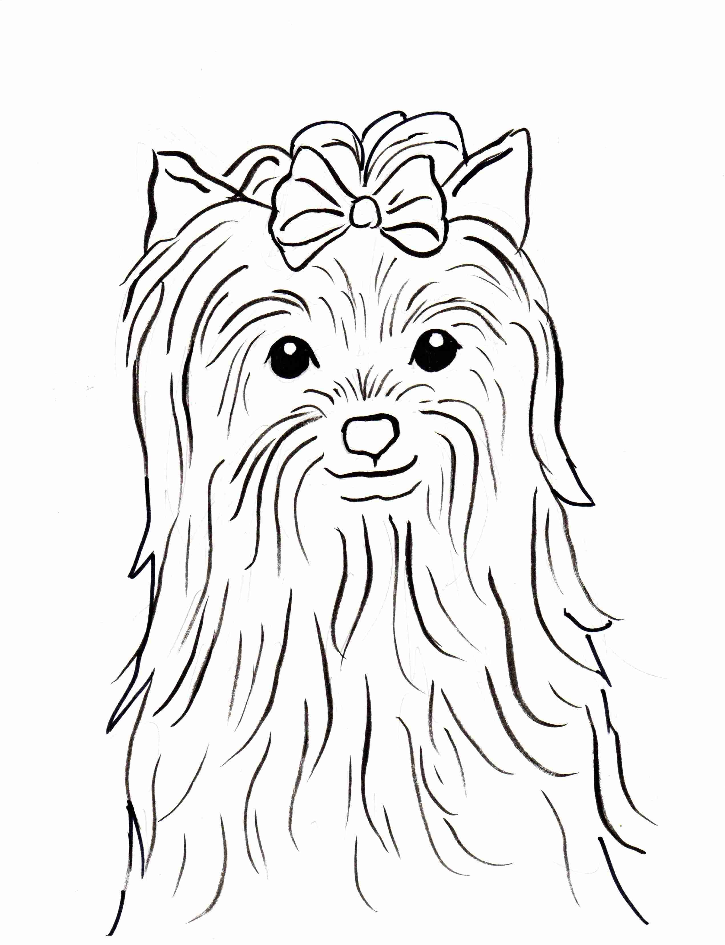 Yorkie Dog Coloring Pages at GetColorings.com | Free ...