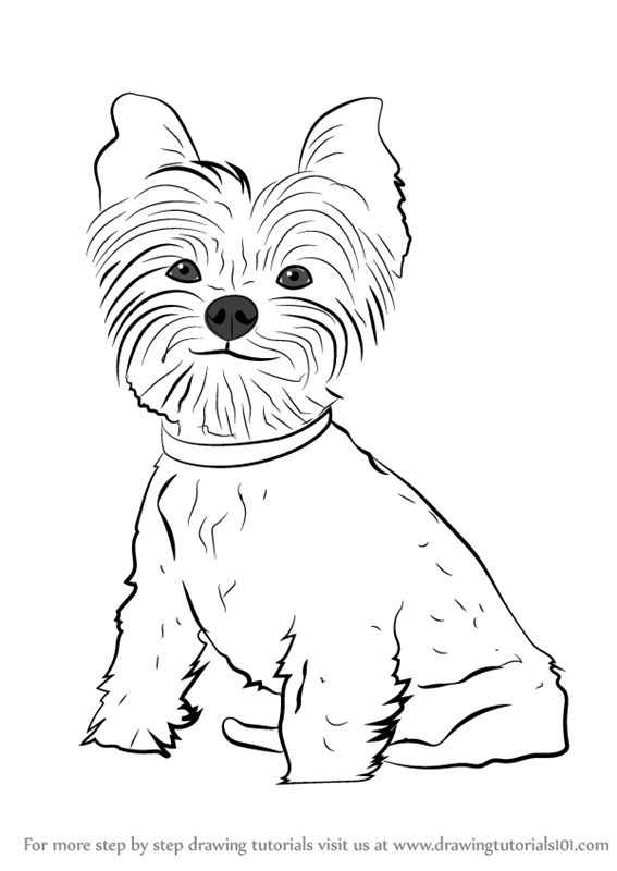 Yorkie Puppy Coloring Pages at GetColorings.com | Free ...