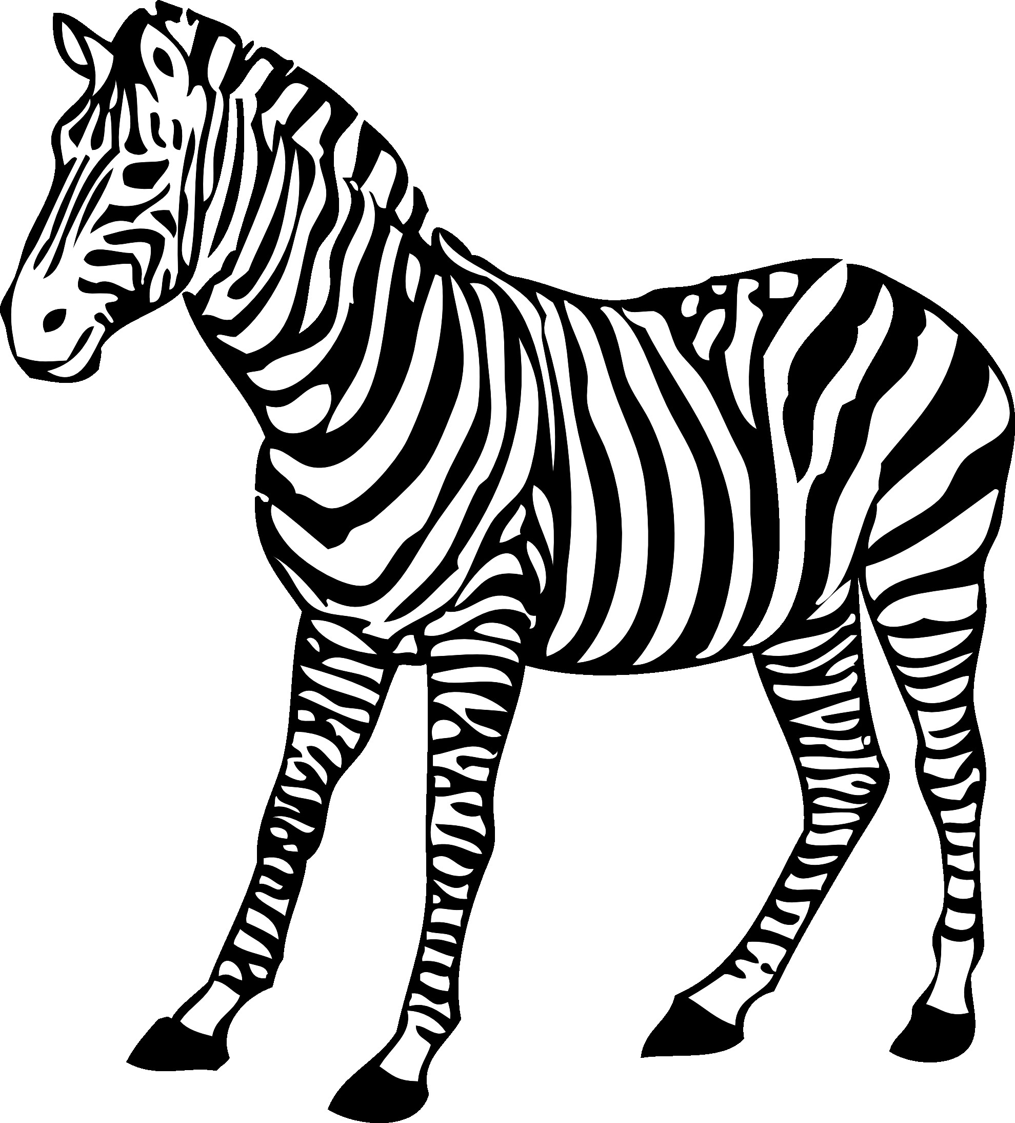Zebra Print Coloring Pages at Free printable