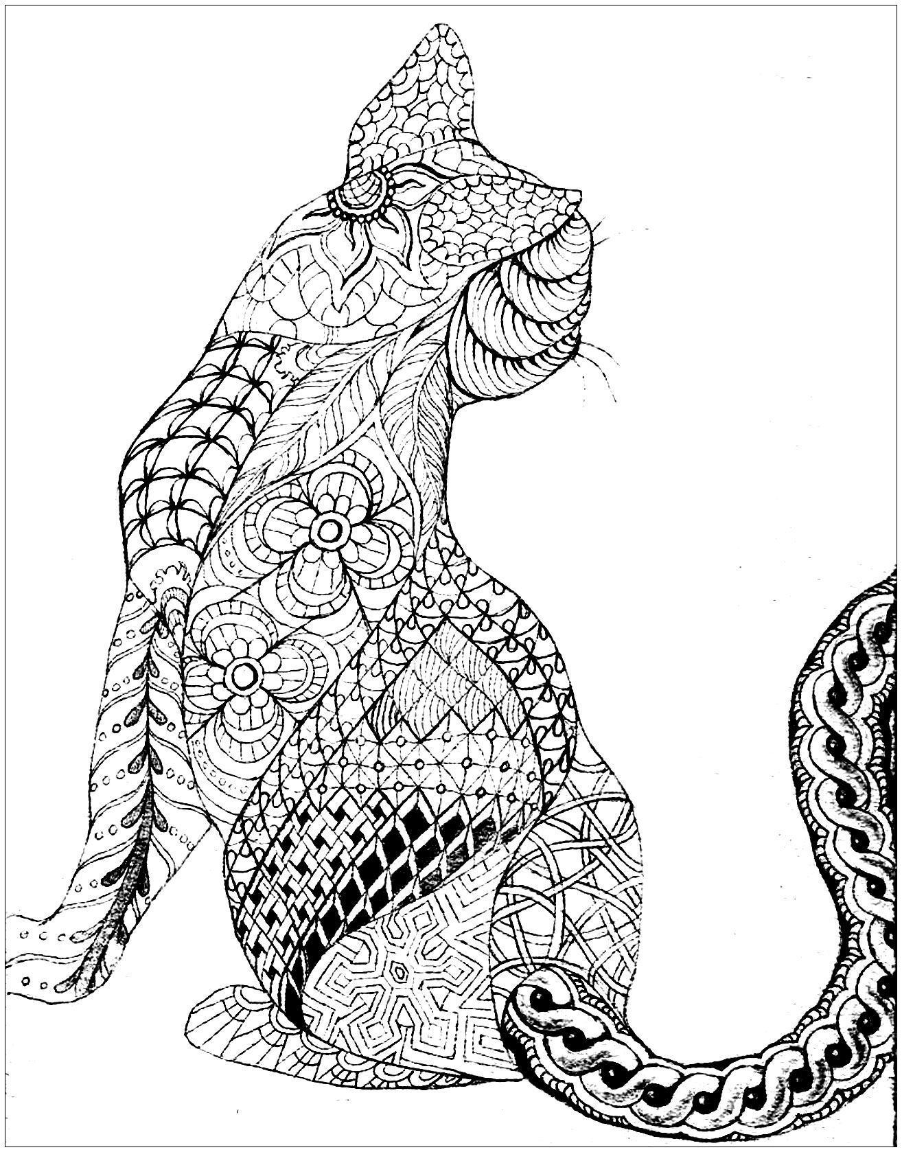 Zentangle Cat Coloring Pages at GetColorings.com | Free printable