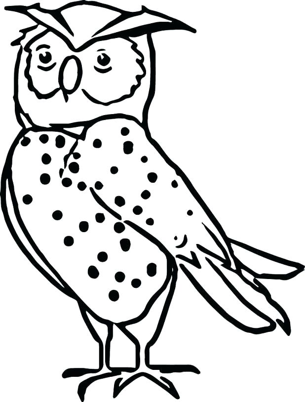 Zoo Animal Coloring Pages For Preschool at GetColorings.com | Free