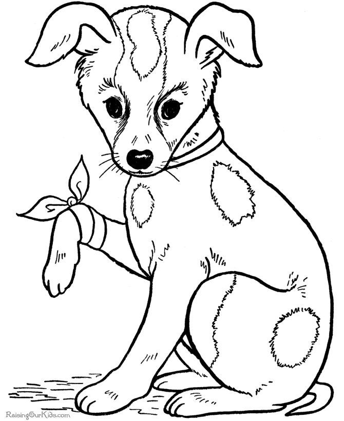 670x820 Free Dog Coloring Page 007 Sample Resume
