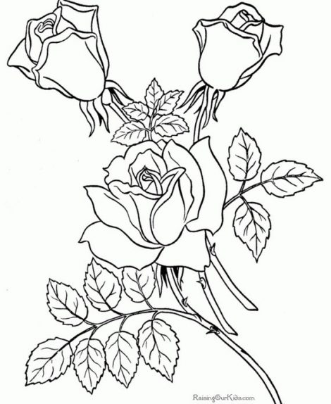 470x574 Coloring Page Free Pages To Color 007 Coloring Sheets Roses Page