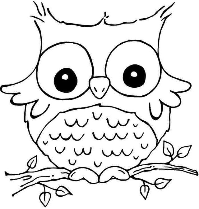 640x675 Cute Animal Coloring Pages For Girls 007 Forever Coloring
