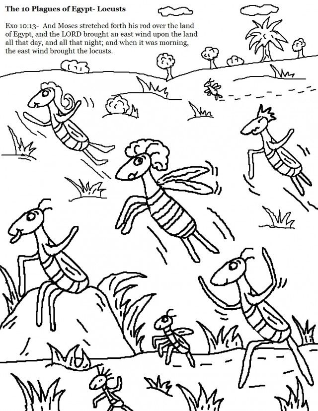 640x828 Coloring Pages 10 Plagues Of Egypt God Online Coloring Pages