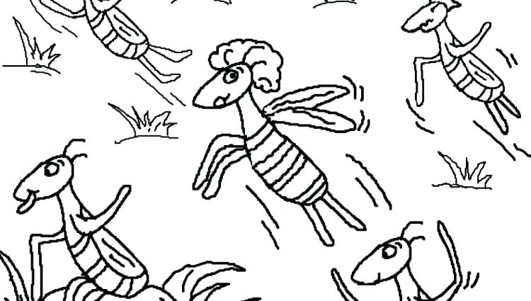 750x425 10 Plagues Coloring Pages Ten Plagues Coloring Pages X Plagues