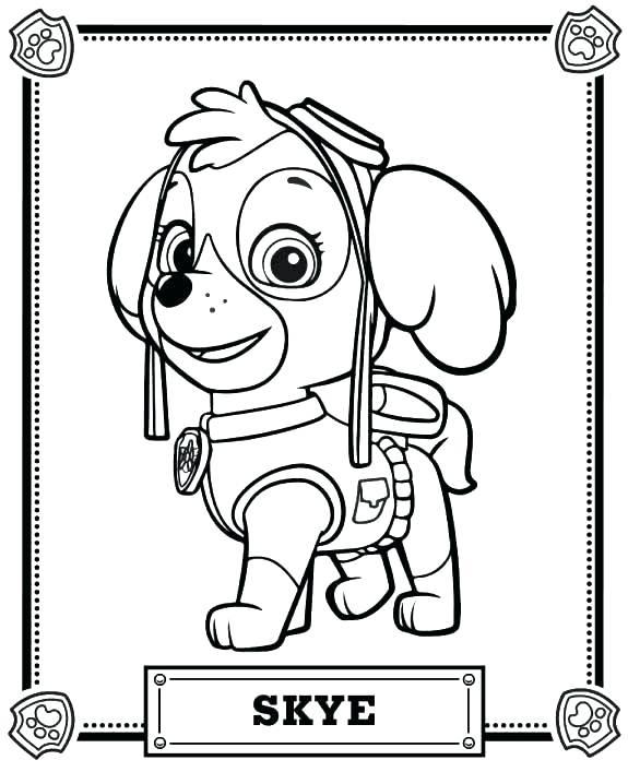 575x707 Stunning 100 Dollar Bill Coloring Page Coloring Pages Stunning Pig