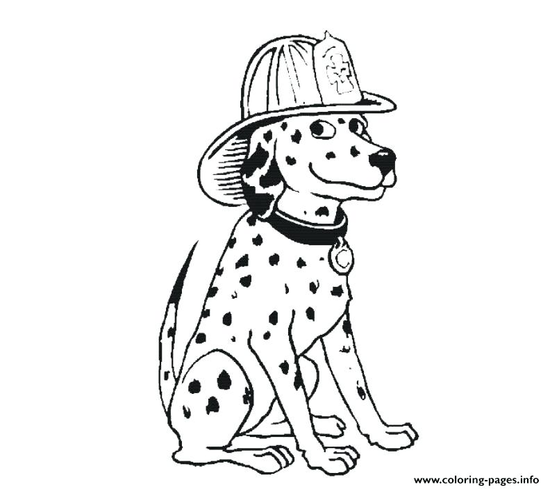 Dalmation Coloring Pages Dalmatian Fire Dog Coloring Pages 101 792x704 Dalmation Coloring Pages Dalmatian Fire Dog Coloring Pages 101