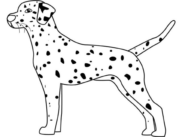 Dalmation Coloring Pages Of Page We Are All Magical Dalmatian 640x480 Dalmation Coloring Pages Of Page We Are All Magical Dalmatian