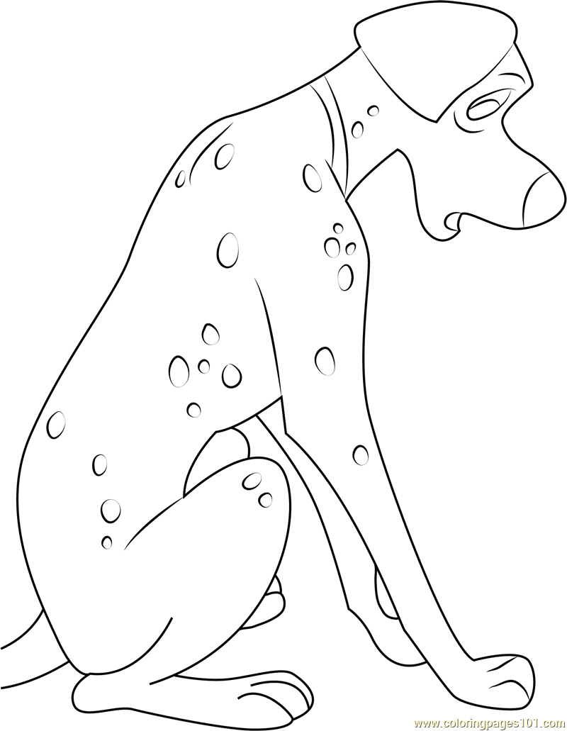 Sad Dalmatian Coloring Page 800x1031 Sad Dalmatian Coloring Page