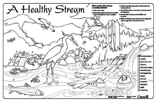 Streamkeepers Placemats And Colouring Sheets 540x350 Streamkeepers Placemats And Colouring Sheets