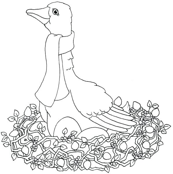 599x600 12 Days Of Christmas Coloring Pages Coloring Page Click Picture