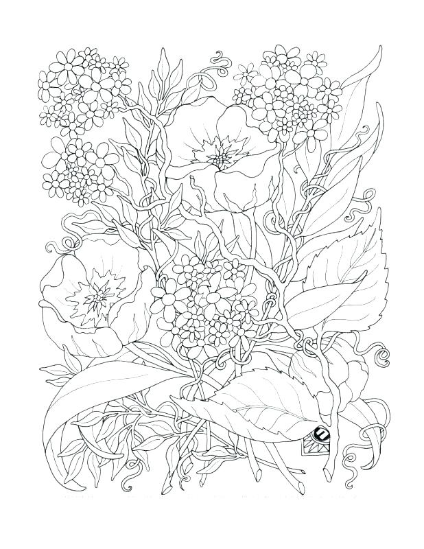 Adult Coloring Pages Flowers Decorating Styles Of The S Sugar 618x800 Adult Coloring Pages Flowers Decorating Styles Of The S Sugar