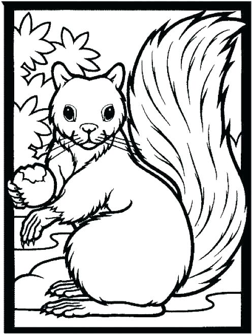 496x658 1st Grade Coloring Pages Coloring Pages For First Grade Coloring