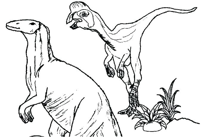 681x459 Velociraptor Coloring Page Coloring Page World 2 Coloring Page