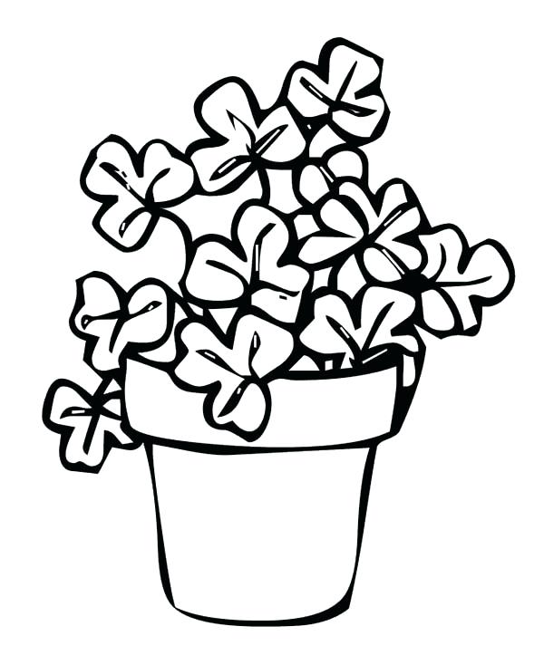 600x734 4 Leaf Clover Coloring Page Four Leaf Clover Rare Four Leaf Clover
