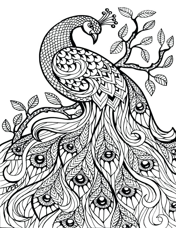 Coloring Pages For Adults Printable Animals Hard Animal Difficult 736x952 Coloring Pages For Adults Printable Animals Hard Animal Difficult