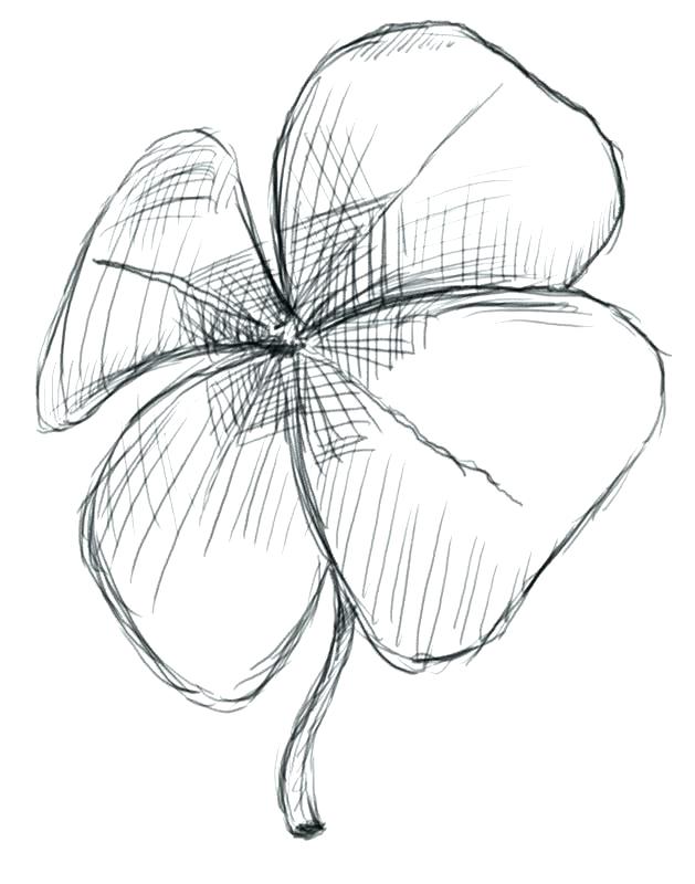 Astounding 4 Leaf Clover Coloring Page 629x800 Astounding 4 Leaf Clover Coloring Page