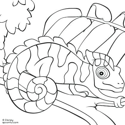 Chameleon Coloring Pictures Chameleon Coloring Page Pin Your 420x420 Chameleon Coloring Pictures Chameleon Coloring Page Pin Your