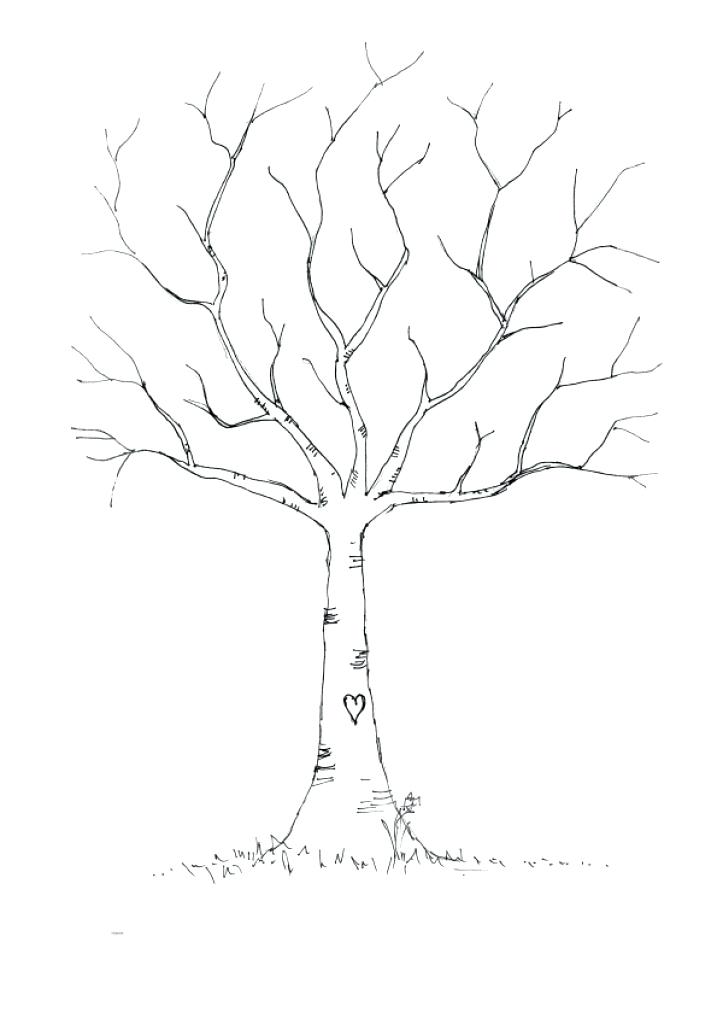 Bare Tree Coloring Page Pages 5 Colouring 4283 723x1024 Bare Tree Coloring Page Pages 5 Colouring 4283