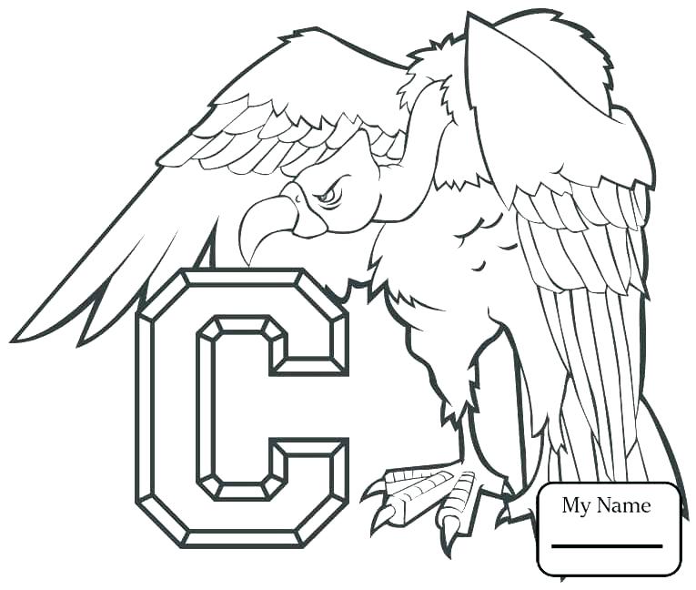 Number 5 Coloring Page 765x648 Number 5 Coloring Page