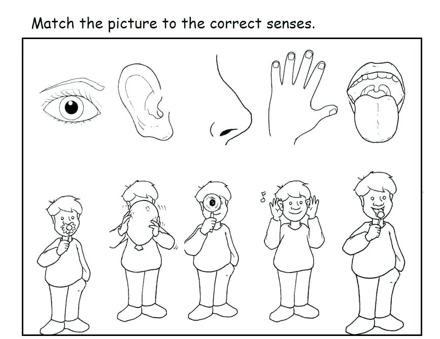 867x668 5 Senses Coloring Pages Five Senses Coloring Pages The Five Senses