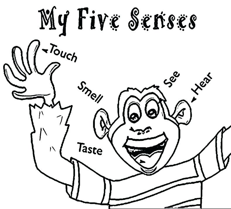789x714 5 Senses Coloring Page Five Senses Coloring Page With 5 Senses