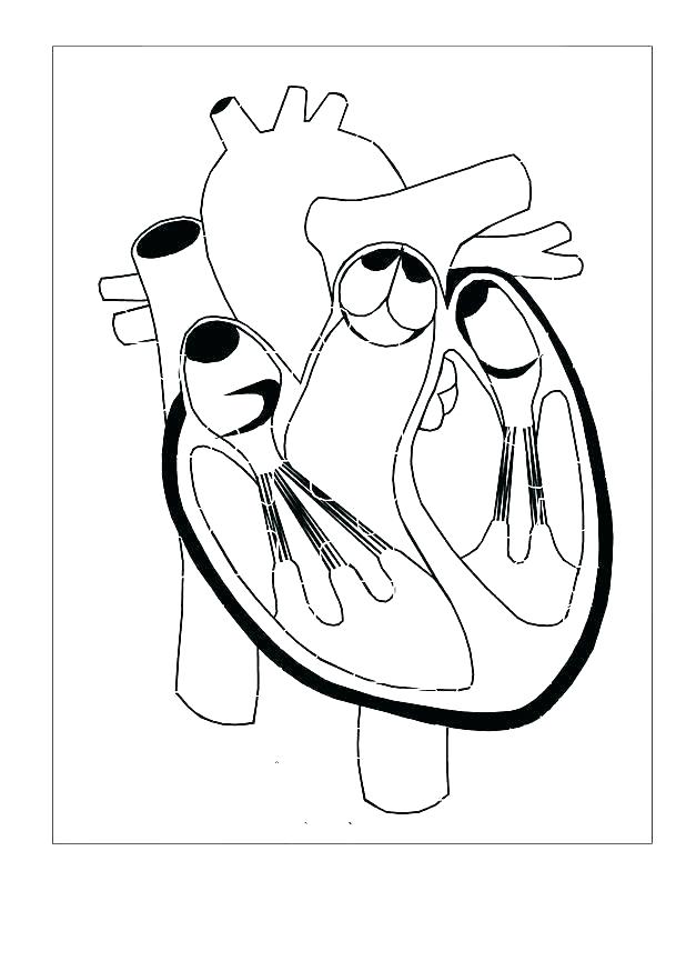 618x874 Five Senses Coloring Page Five Senses Coloring Pages Five Senses