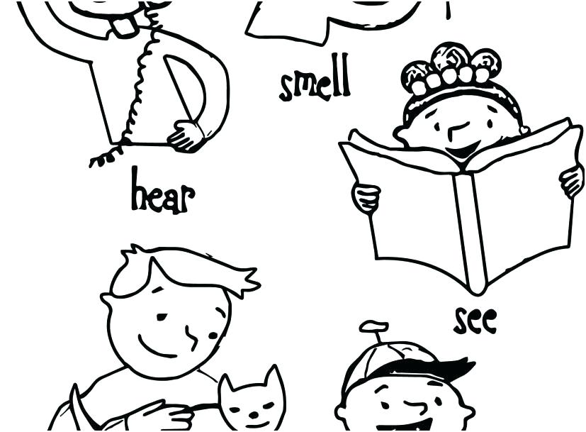 827x609 Five Senses Coloring Pages 5 Senses Coloring Page Children 5