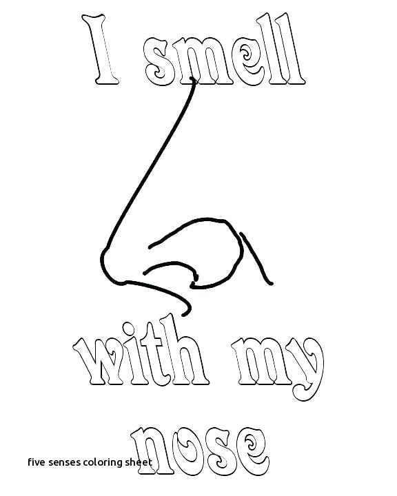 576x720 Five Senses Coloring Pages Five Senses Coloring Sheet With 5