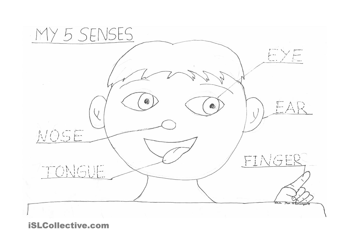 1440x1018 Ltkrr5djc And Five Senses Coloring Page