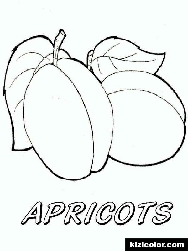 600x800 Apricot Fruits 6