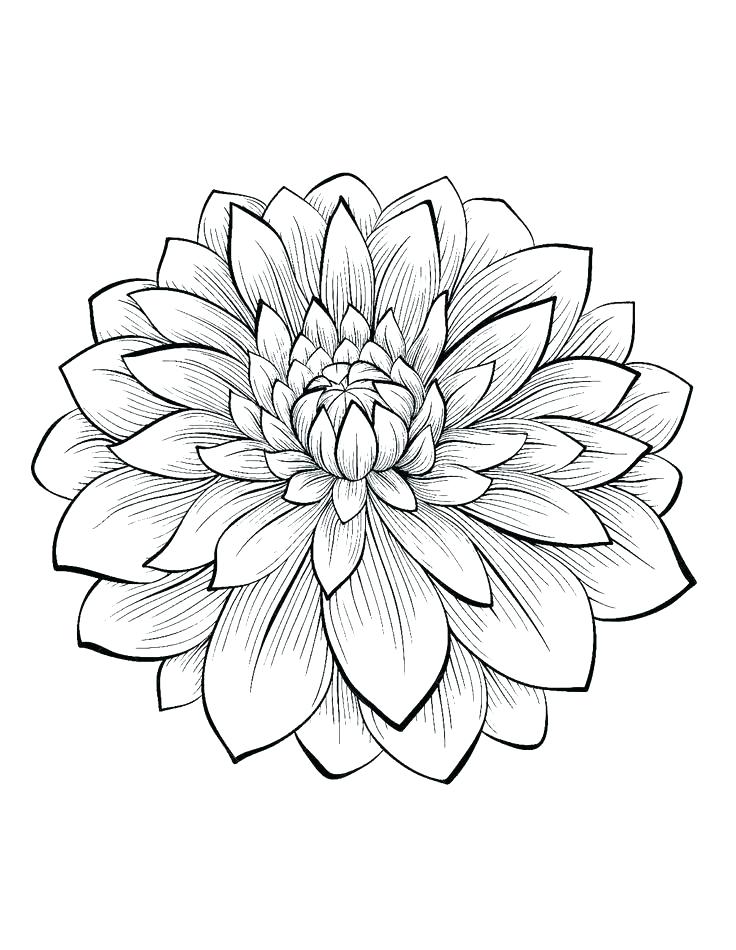 60s Coloring Pages at GetColorings.com | Free printable colorings pages ...