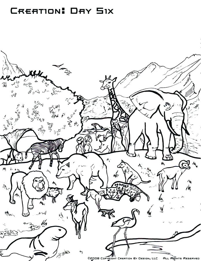 695x900 7 Days Creation Coloring Pages Free Flannel Board Figures The Each