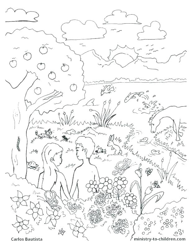 7 Days Of Creation Coloring Pages Free at GetColorings.com | Free ...