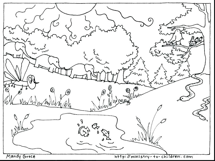 878x658 The Creation Coloring Pages For Children Professional