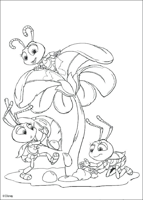 567x794 A Bug's Life Coloring Pages Bugs Coloring Pages A Bugs Life