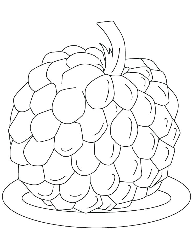 Apple Tree Coloring A Is For Apple Coloring Page Apple Coloring 738x954 Apple Tree Coloring A Is For Apple Coloring Page Apple Coloring