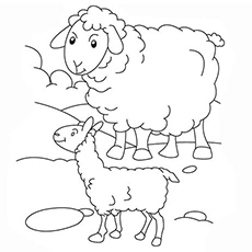 Top 25 Free Printable Sheep Coloring Pages Online 230x230 Top 25 Free Printable Sheep Coloring Pages Online