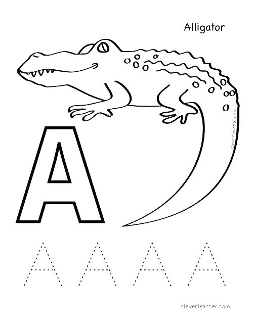 Alligator Coloring Pages Alligators Coloring Page Realistic 500x647 Alligator Coloring Pages Alligators Coloring Page Realistic