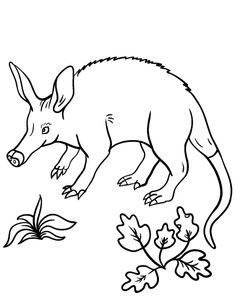 236x305 Is It Show And Tell Day In Your Class Get Your Kids Excited