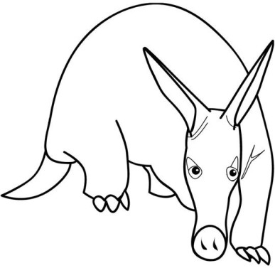 387x377 Print Out Animal Aardvark Coloring Page For Kidsfree Printable