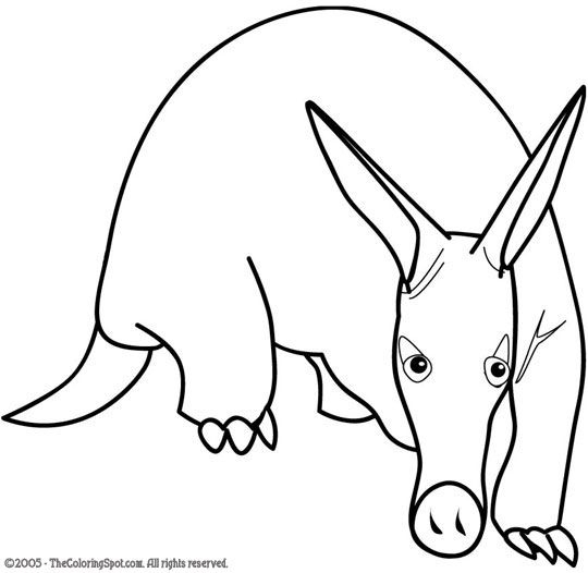 540x526 Aardvark Coloring Pages To Print Creatures And Animal