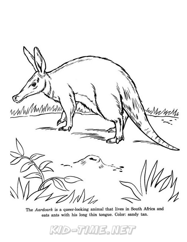 612x792 Aardvark Coloring Book Pages Kids Time Free Coloring Book Pages