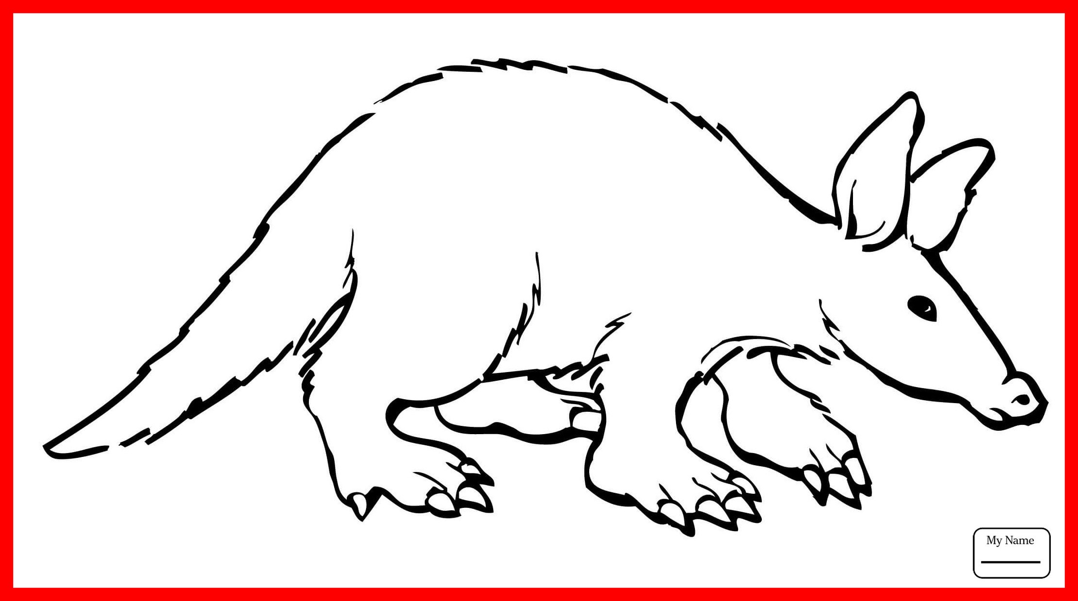 2223x1239 Amazing Aardvark Coloring Page Gallery Printable Sheet Image